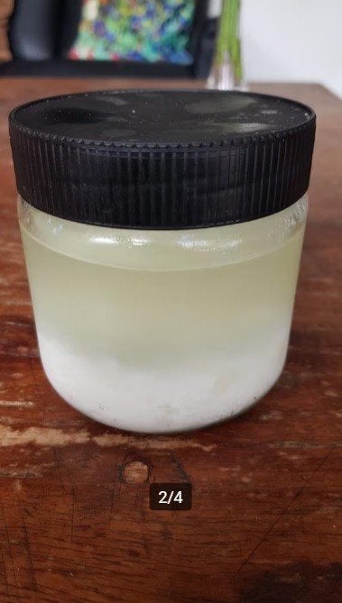 Melkkefir korrels 45 gram van biologische melk, Diversen, Levensmiddelen, Ophalen of Verzenden