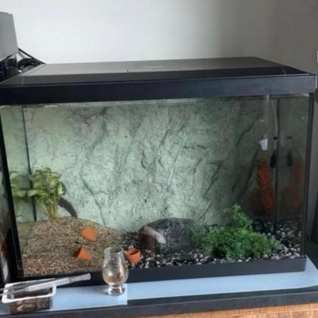 Klein aquarium, Ophalen, Nieuw, Leeg aquarium