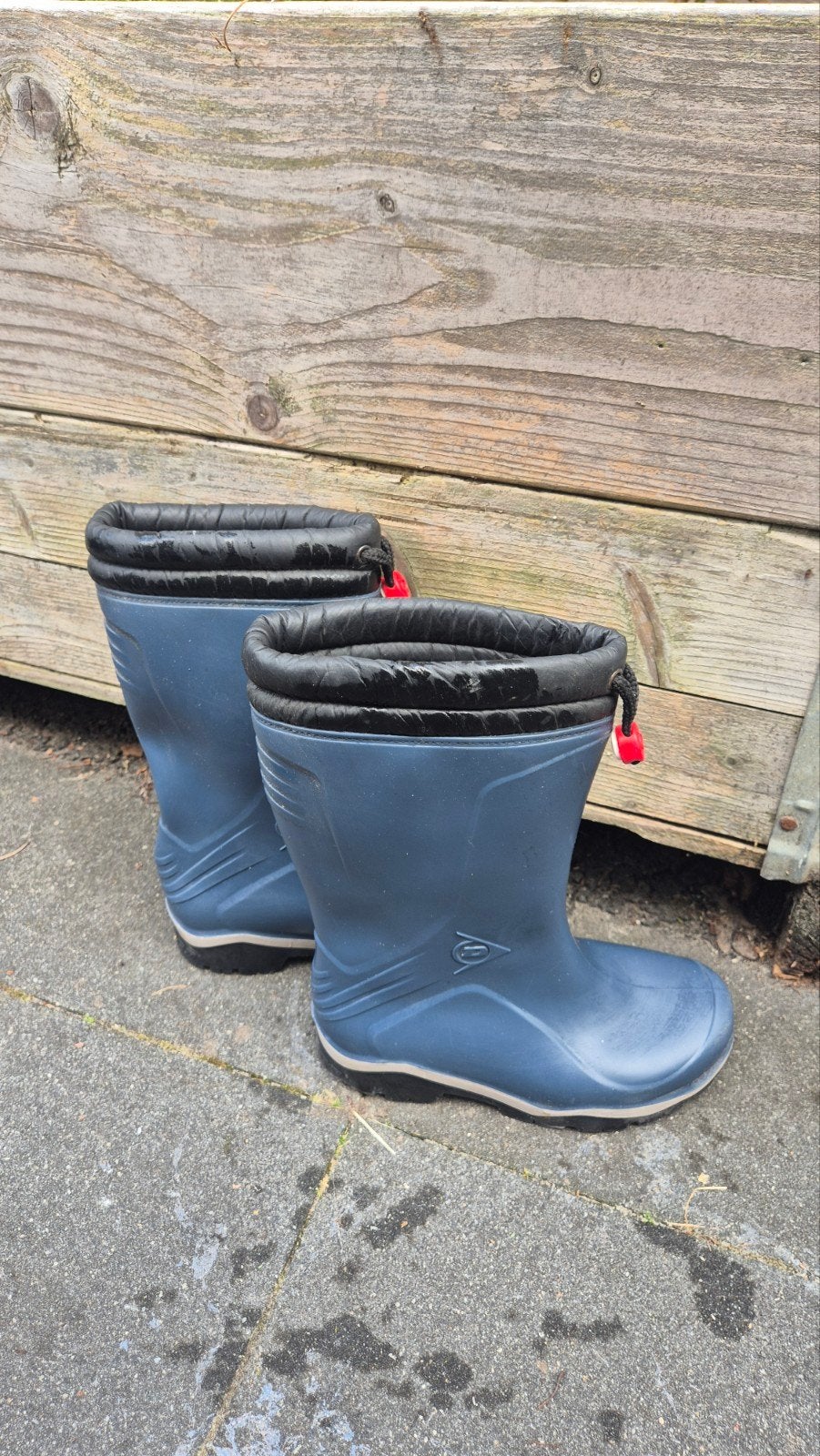 Regenlaarzen Dunlop, Tuin en Terras, Werkkleding, Ophalen, Laarzen, Dunlop