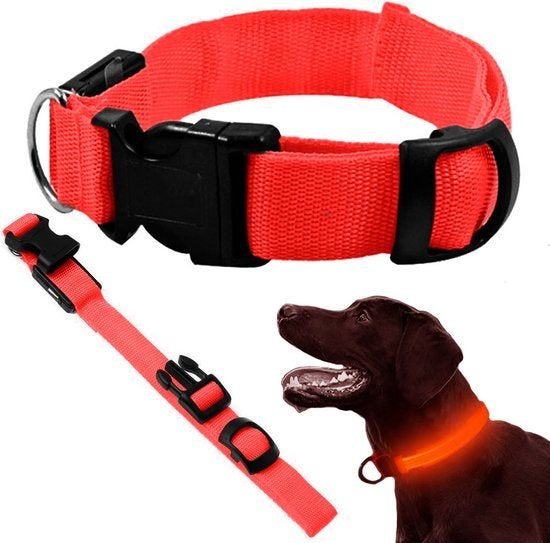 Led Halsband Hond -Rood - 3 Standen - Verstelbaar 36 - 59 cm, Verlicht, 7604 HH, Nieuw, Ophalen of Verzenden