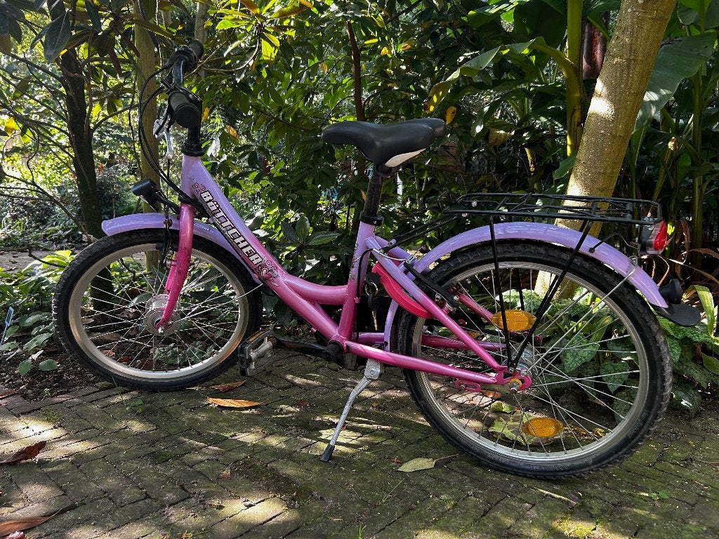 Meisjesfiets 20 inch - Roze/Paars, Ophalen, Terugtraprem, Gebruikt, Handrem