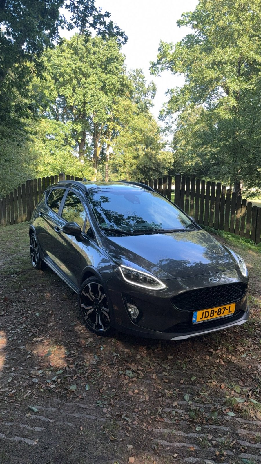 Ford Fiësta Active X 1.0 Ecoboost Hybrid 125pk 2021 Grijs, Voorwielaandrijving, Stof, 4 cilinders, Handgeschakeld