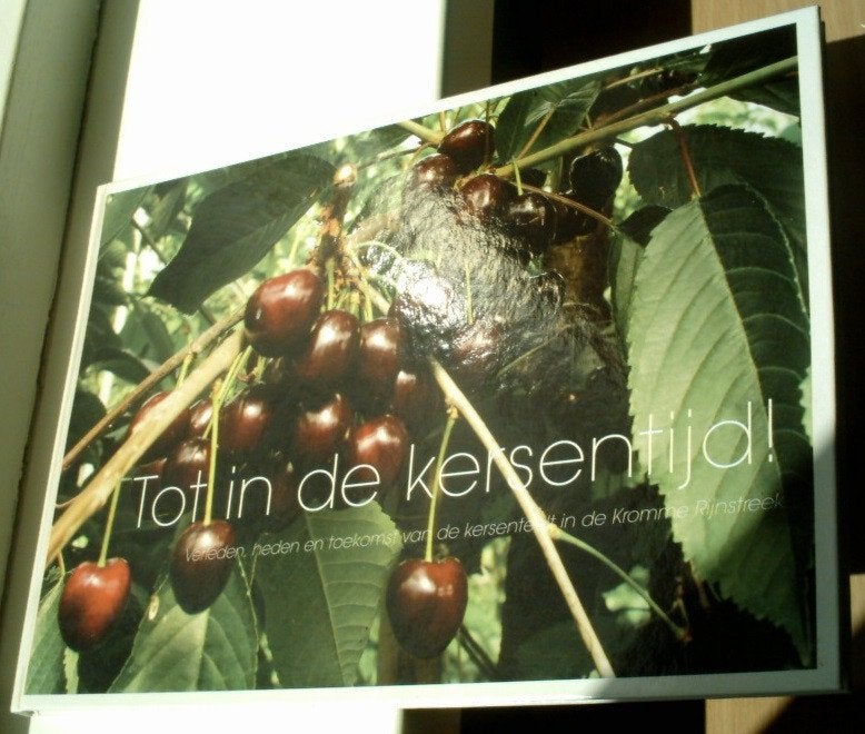 Tot in de kersentijd(ISBN 9090208062, Cothen,Kromme Rijn)., Ophalen of Verzenden, Zo goed als nieuw