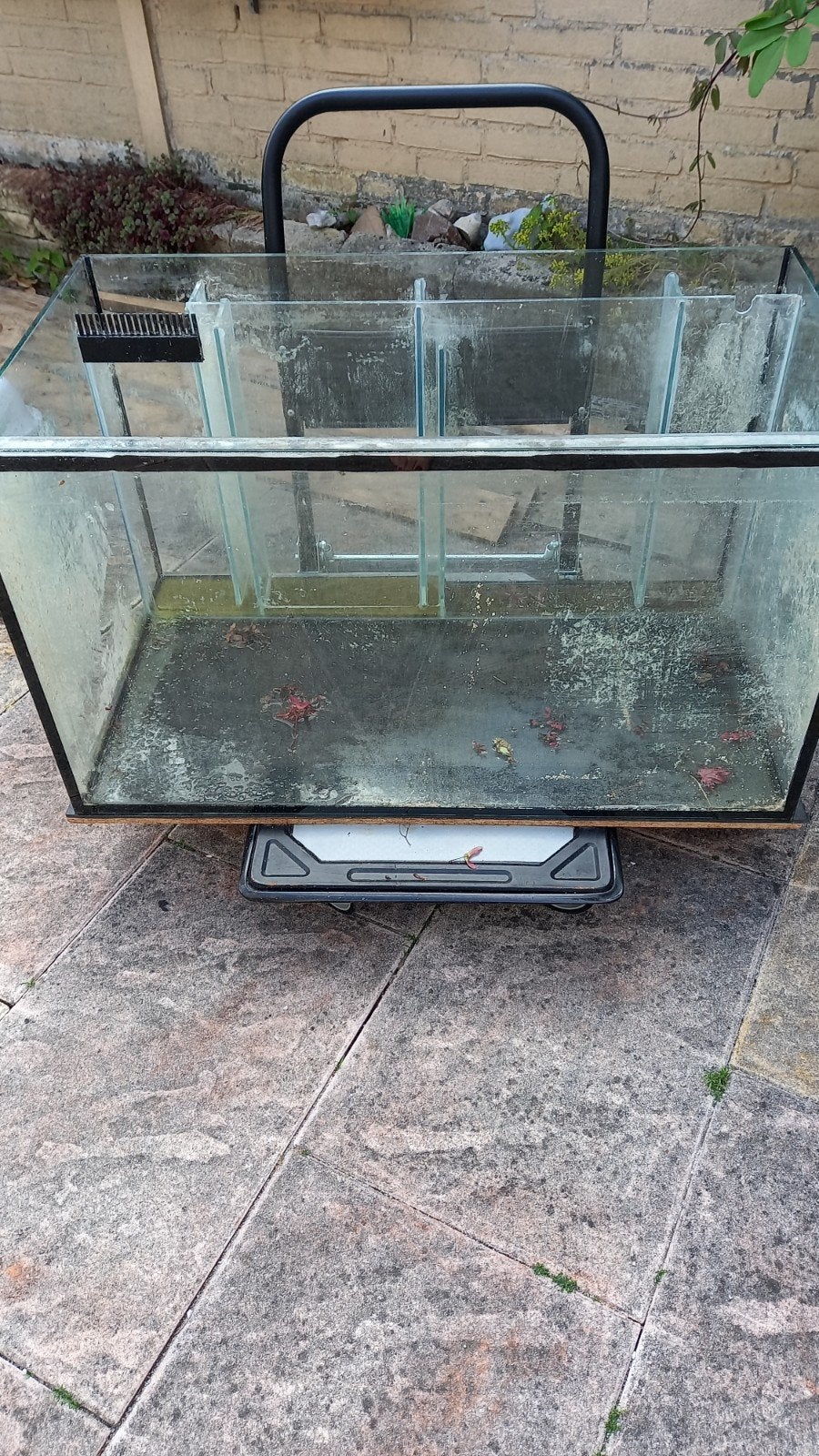 Aquarium met filter 89x50x50, Ophalen, Zo goed als nieuw, Leeg aquarium