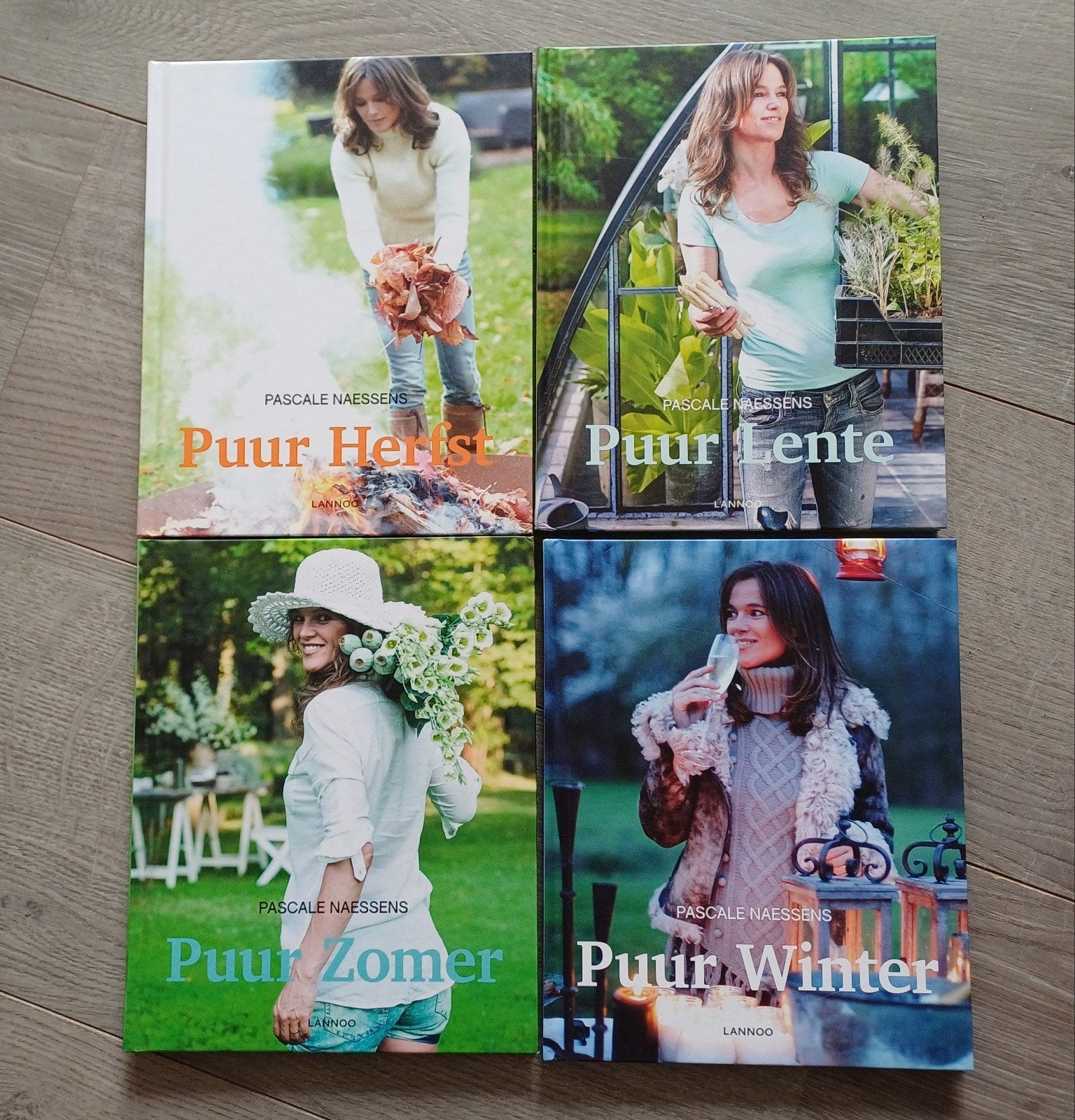 Pascale Naessens 4 seizoenen., Boeken, Ophalen of Verzenden, Nederland en België