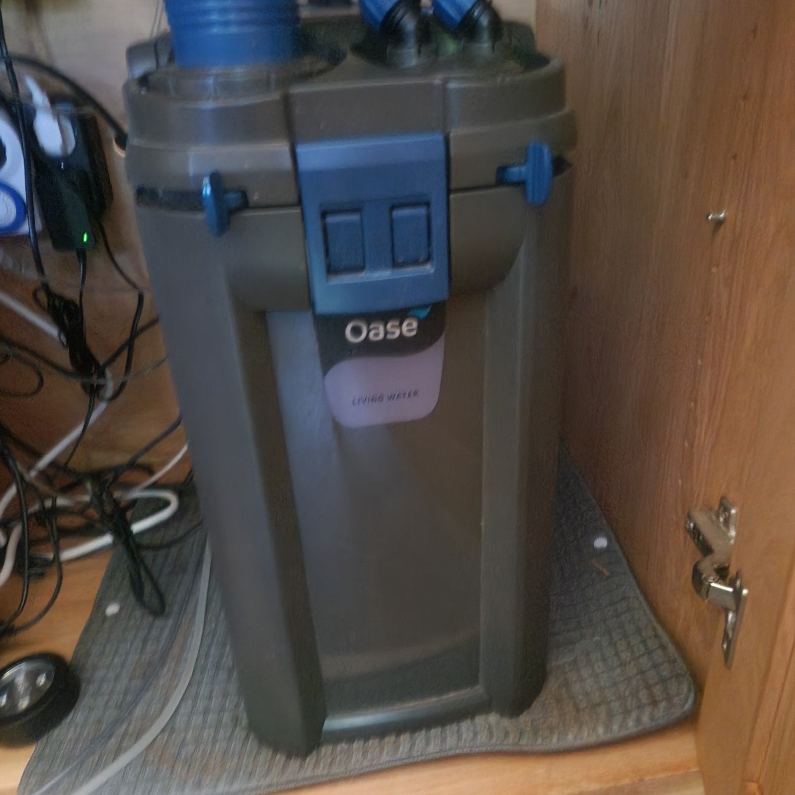 gratis 600 liter aquarium + oase filterpomp, Ophalen of Verzenden, Gebruikt