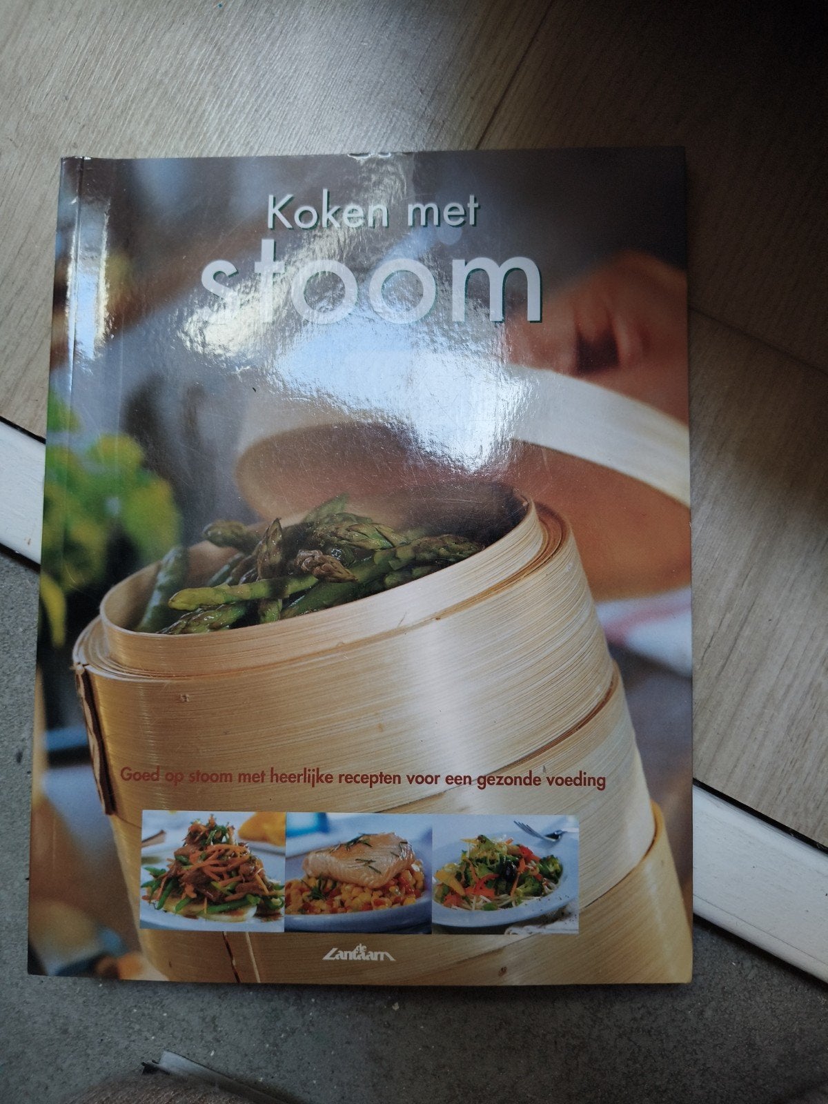 Koken met Stoom: Heerlijke recepten voor gezonde voeding, Ophalen of Verzenden, Nieuw, Gezond koken