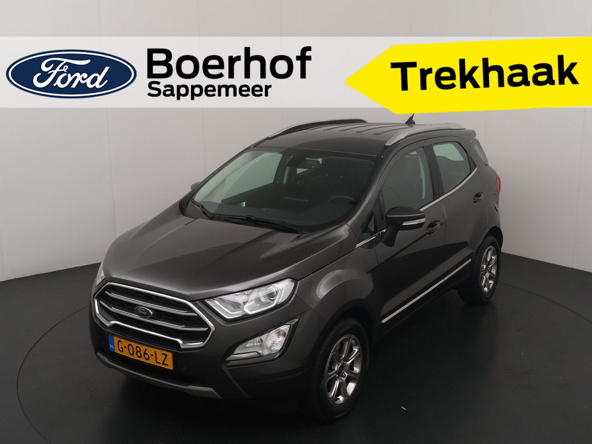 Ford EcoSport EcoBoost Titanium Nw geleverd | Winter Pack |, Dealer onderhouden, 125 pk, Gebruikt, Ecosport