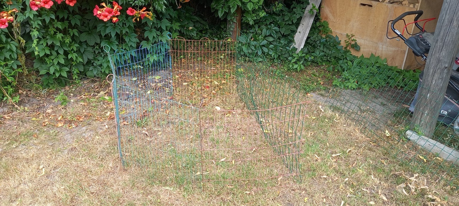Gebruikt gaashekwerk voor tuin of afzetting, Ophalen of Verzenden, Gebruikt, IJzer, Gaashekwerk