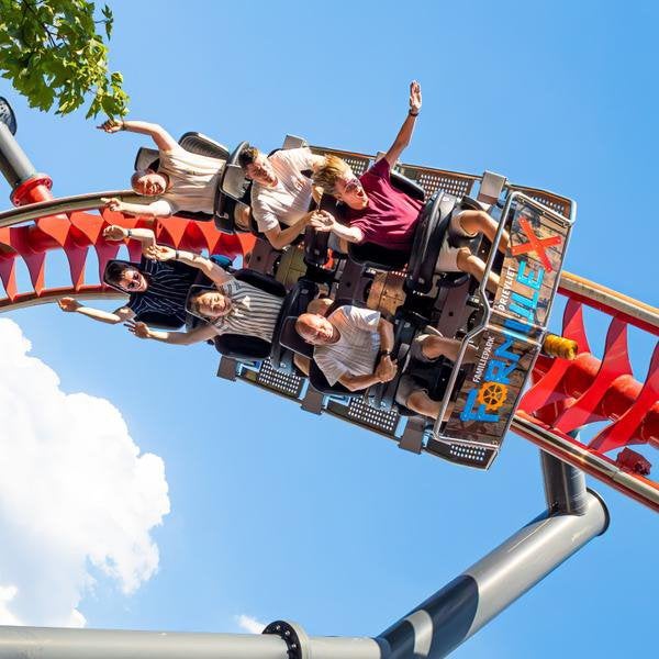 4 kaartjes voor Drievliet, Drie personen of meer, Ticket of Toegangskaart