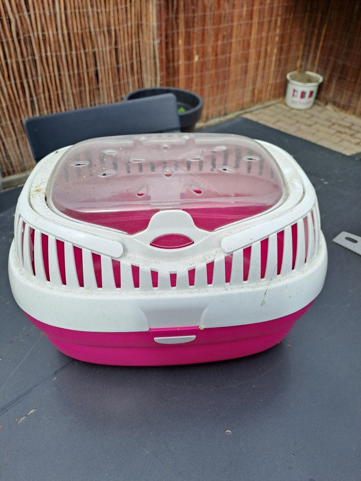 reismandje cavia, Ophalen, Gebruikt, Transportkoffer of -box