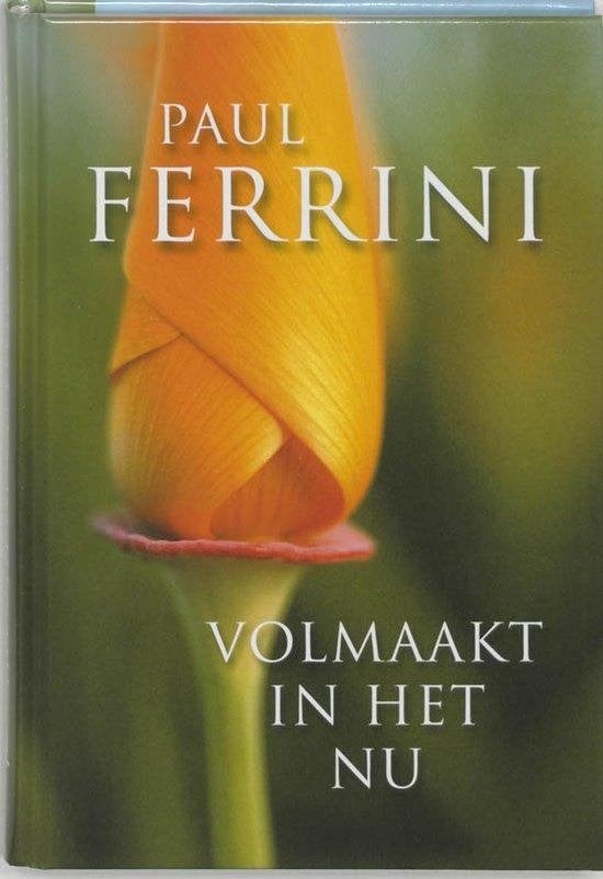 Paul Ferrini Volmaakt in het Nu, Ophalen of Verzenden, Nieuw, Spiritualiteit algemeen, Achtergrond en Informatie