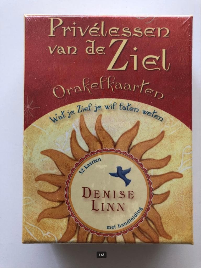 Privélessen van de ziel (SEAL), Boeken, Spiritualiteit algemeen, Verzenden, Overige typen, Nieuw