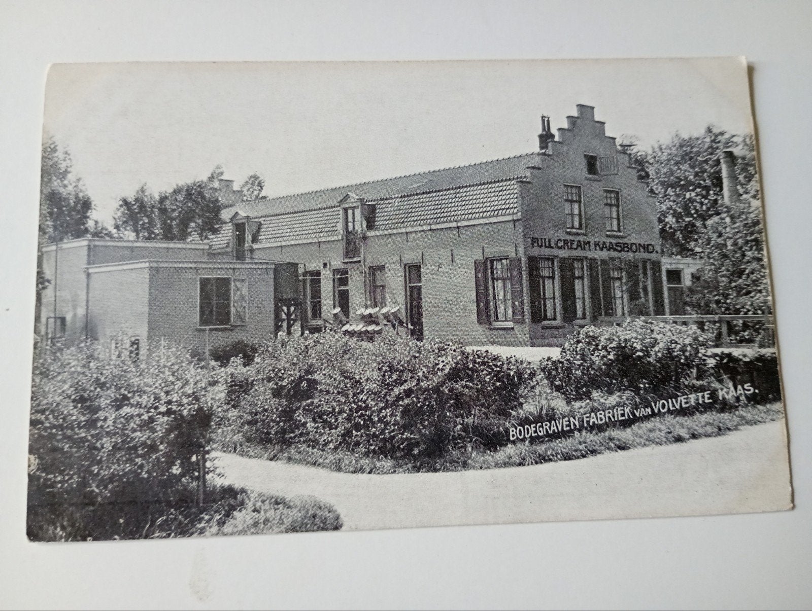 Bodegraven Fabriek van Volvette Kaas, Verzamelen, Ophalen of Verzenden, Voor 1920, Ongelopen, Zuid-Holland