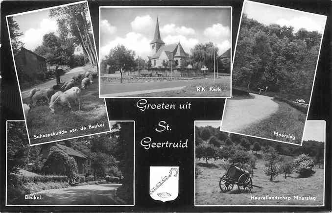 301-372-007 Sint Geertruid Groeten uit, Verzenden, Voor 1920, Limburg