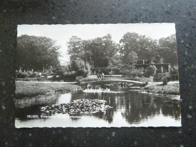 Velsen circa 1960/65 Waterpartij bij het pompstation, Ophalen of Verzenden, 1960 tot 1980, Ongelopen, Noord-Holland