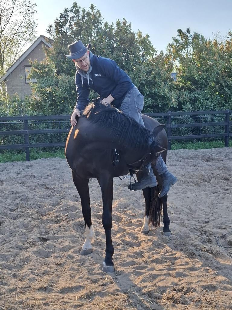 Ervaren ruiter/verzorger – hulp aan huis & zadelmak maken, Diensten en Vakmensen, Dieren | Paarden | Verzorging, Oppas en Les