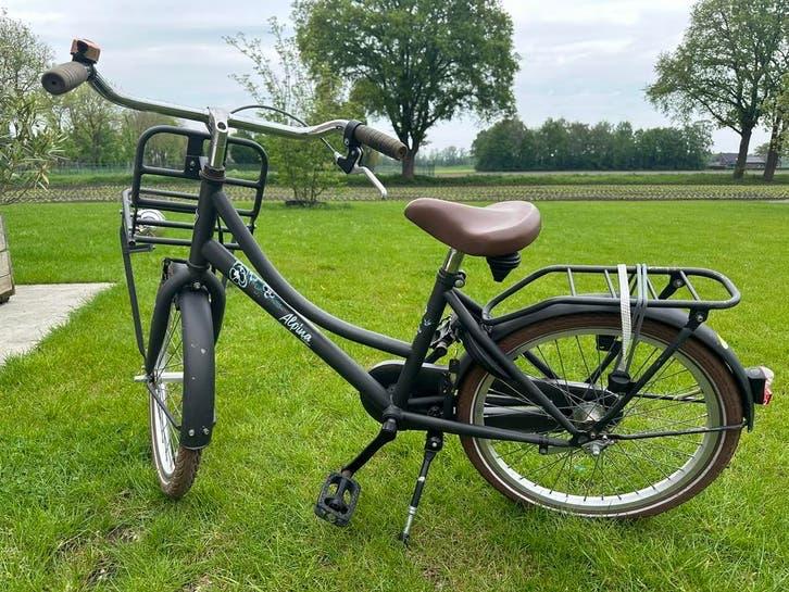 Alpina cargo meisjes fiets 20 inch donkergrijs, Fietsen en Brommers, Fietsen | Meisjes, Ophalen, Gebruikt, 20 inch, Handrem