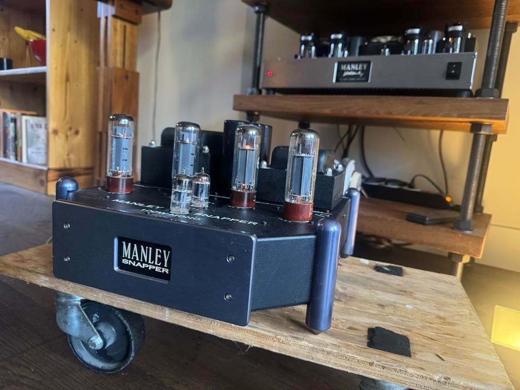 2 Manley Snapper Monoblocks 100W, prijs per stuk, Ophalen, Versterker