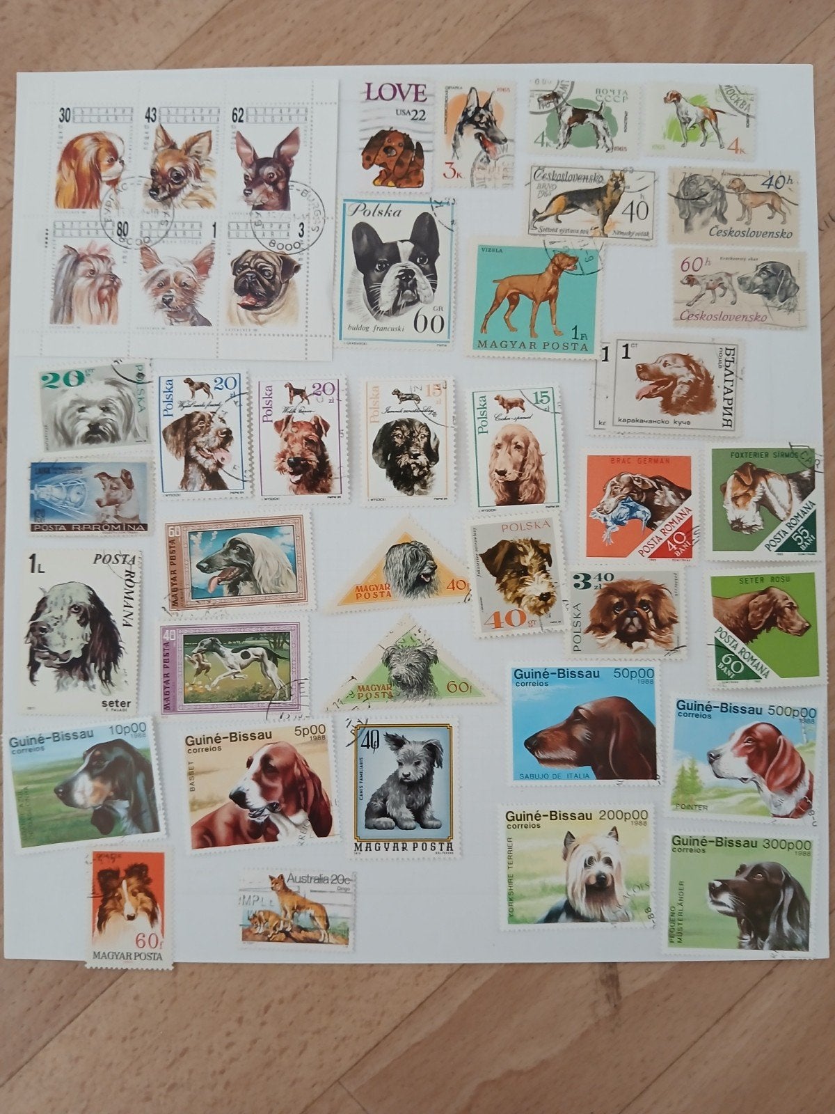 Postzegels Honden - Diverse landen en rassen, Ophalen of Verzenden, Gestempeld, Dier of Natuur