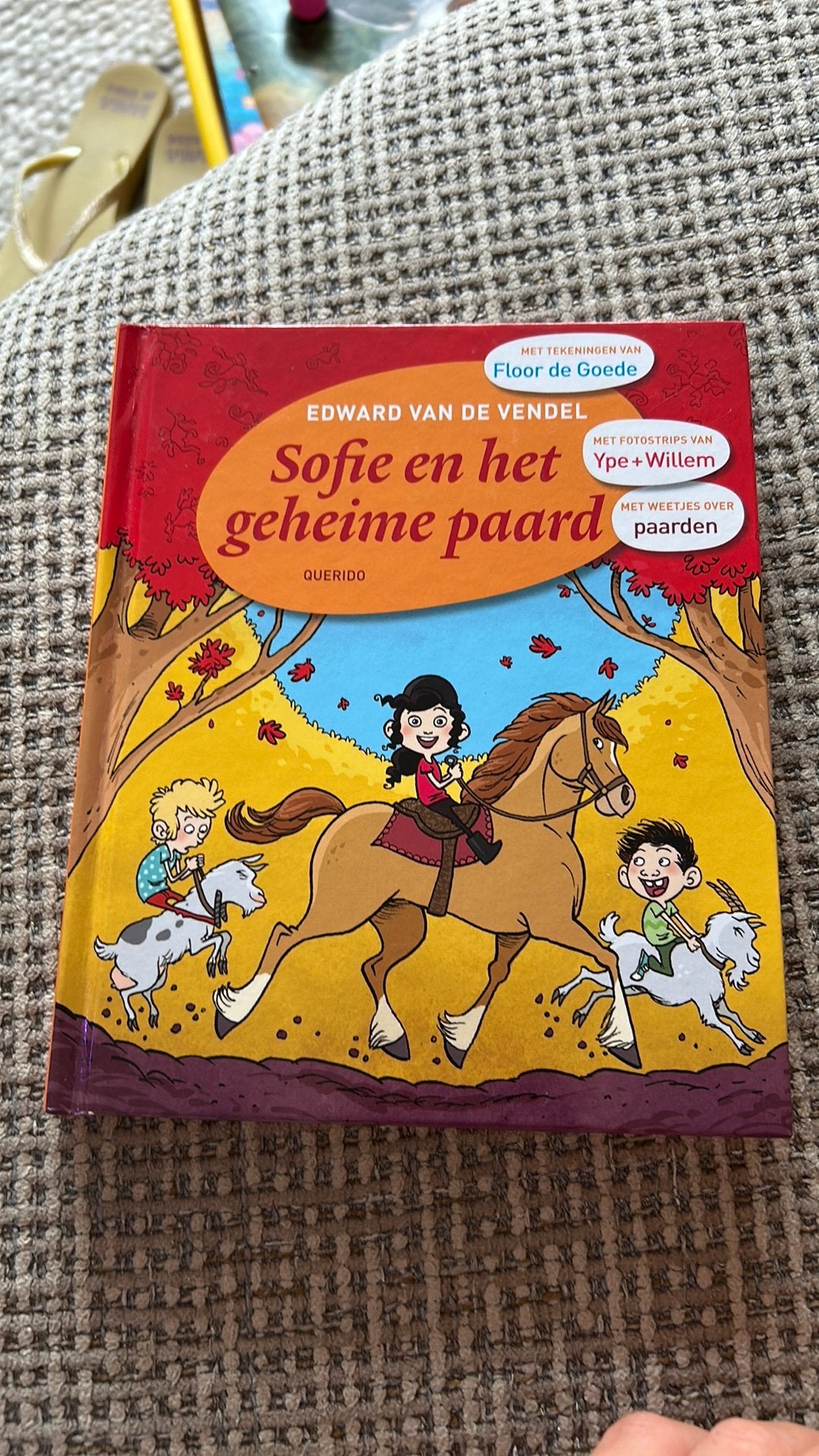 Sofie en het geheimen paard, Ophalen, Zo goed als nieuw