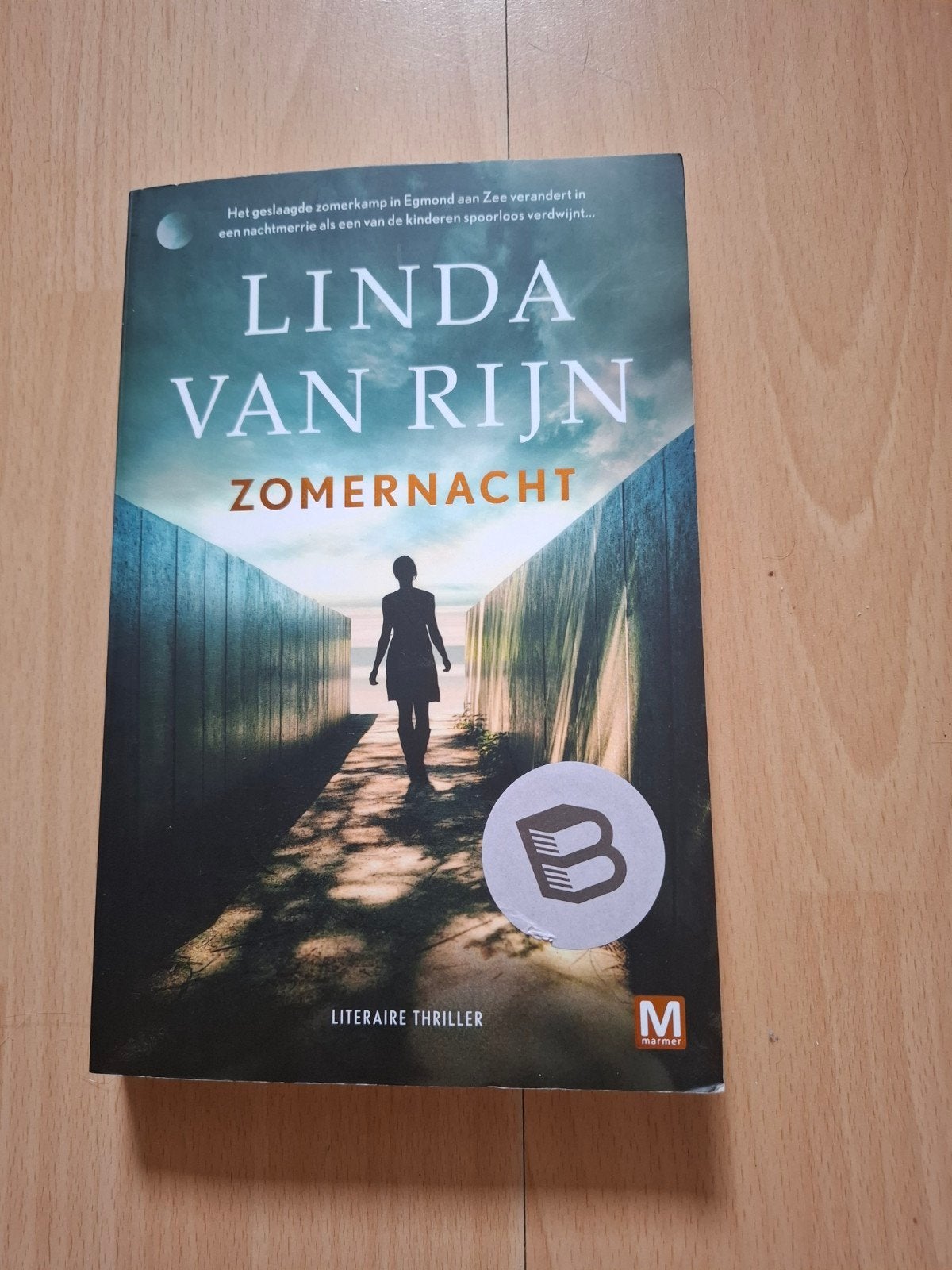 linda van Rijn Zomernacht, Boeken, Ophalen of Verzenden, Zo goed als nieuw