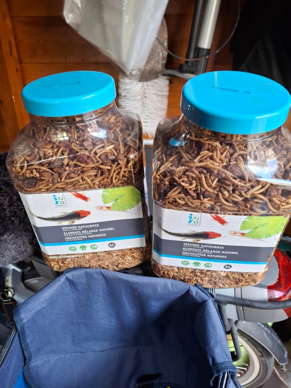meelwormen, Ophalen of Verzenden, Nieuw, Overige typen