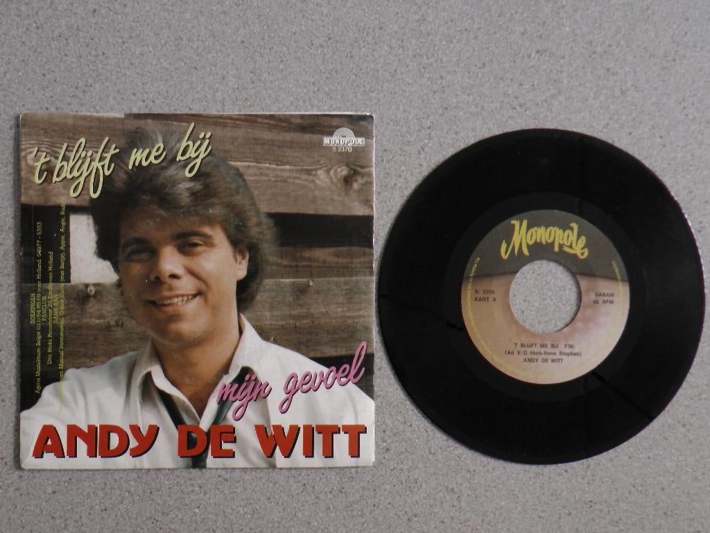 Andy de Witt - Het blijft me bij VINYL SINGLE, Cd's en Dvd's, Vinyl Singles, Zo goed als nieuw, Nederlandstalig, 7 inch, Ophalen of Verzenden
