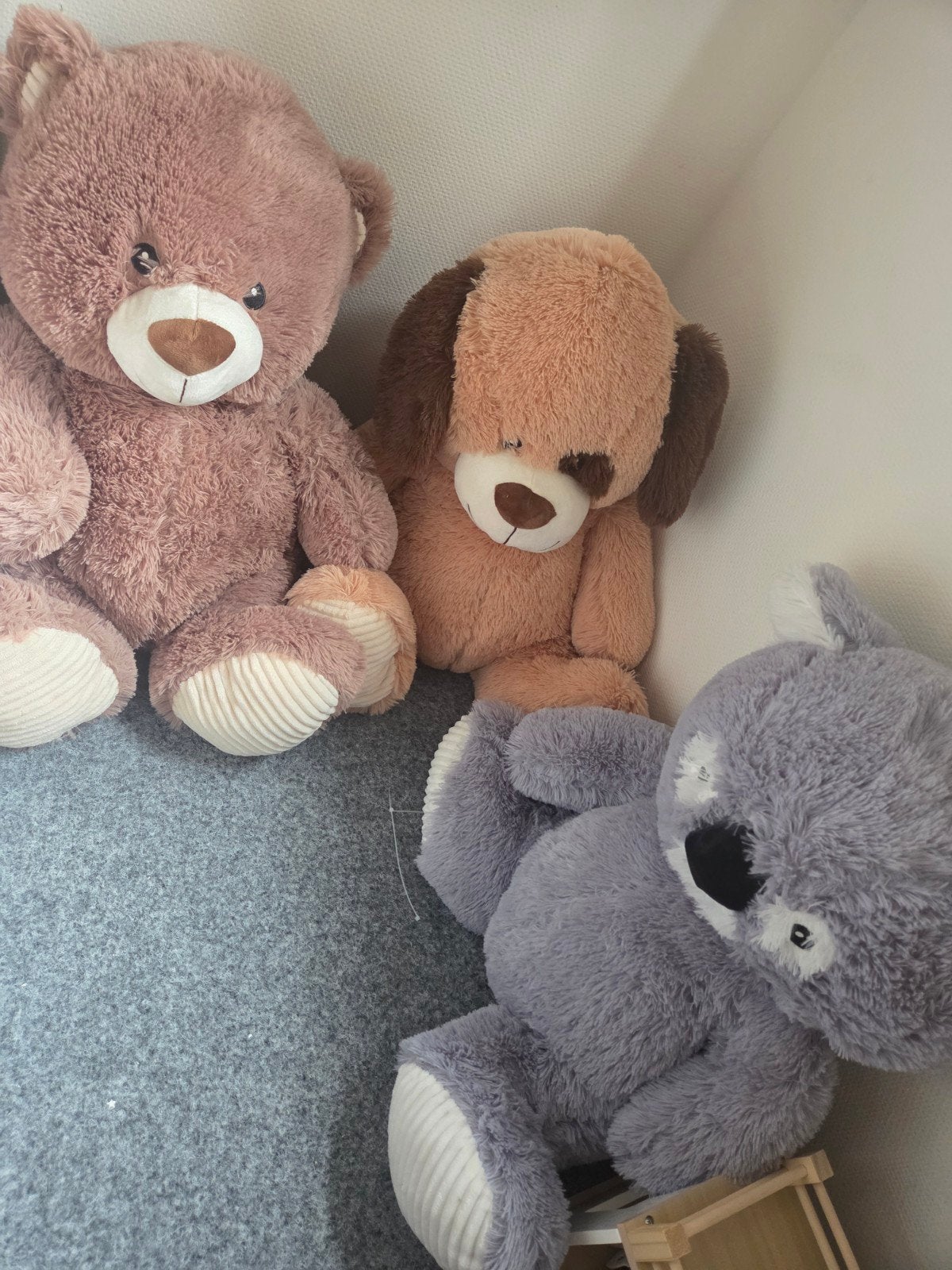 Grote knuffels: beer, hond, koala en schaap, Gebruikt, Beer, Ophalen of Verzenden, Middelgroot (20 tot 80 cm)