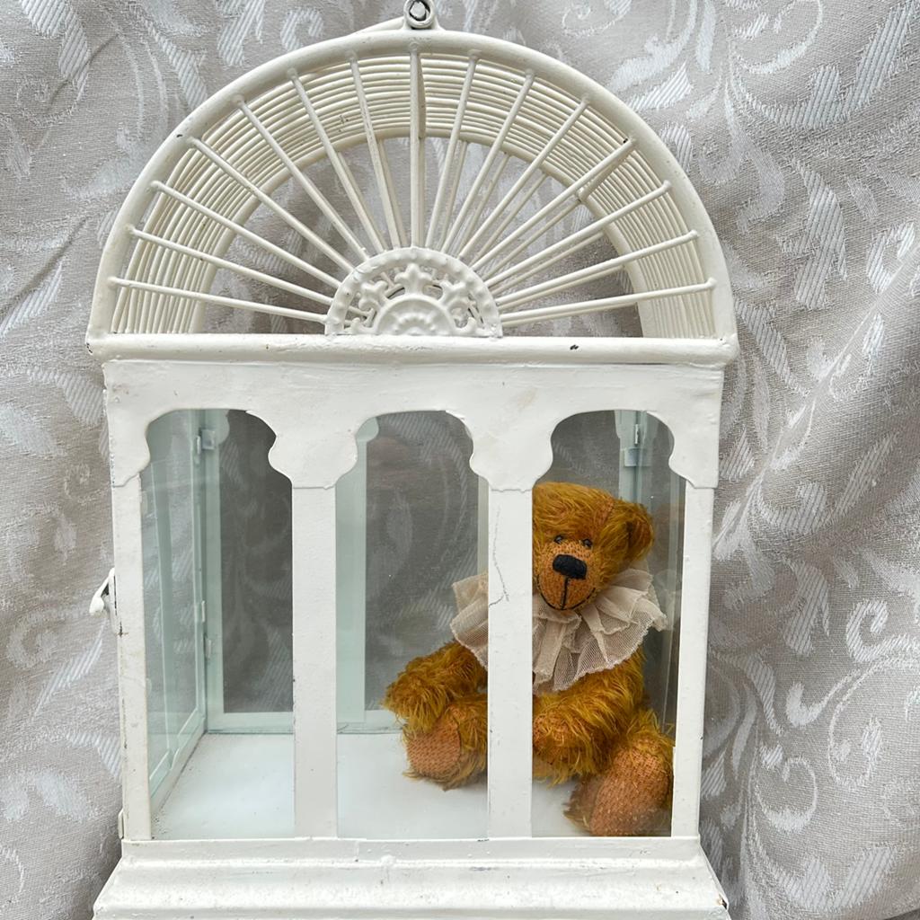 Vitrine kast met antieke beer met kraag, Antiek en Kunst, Curiosa en Brocante, Ophalen