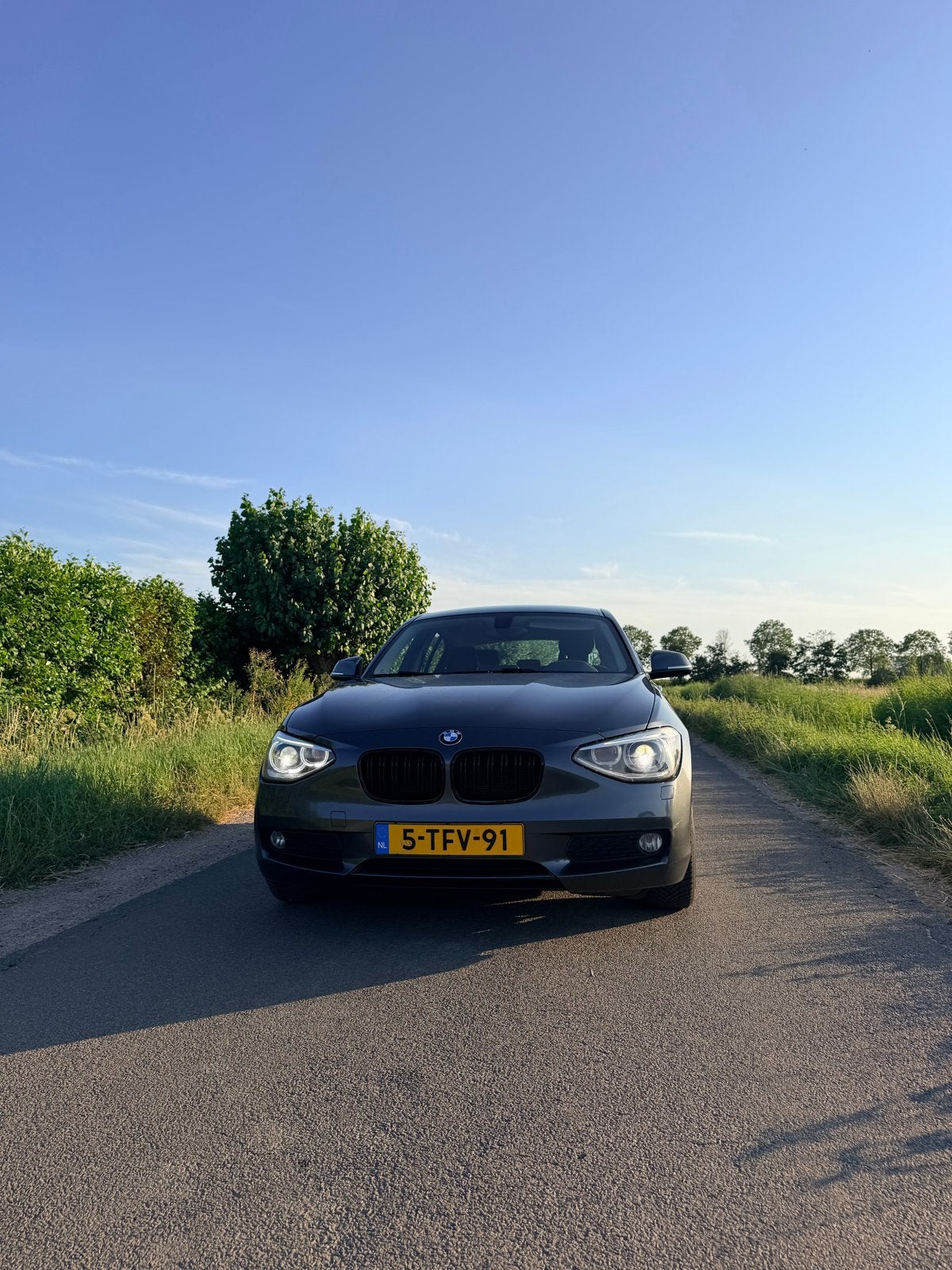 Nette BMW 1-Serie 116I 2014 (Nw Ketting), 1-Serie, Zwart, 4 cilinders, Origineel Nederlands