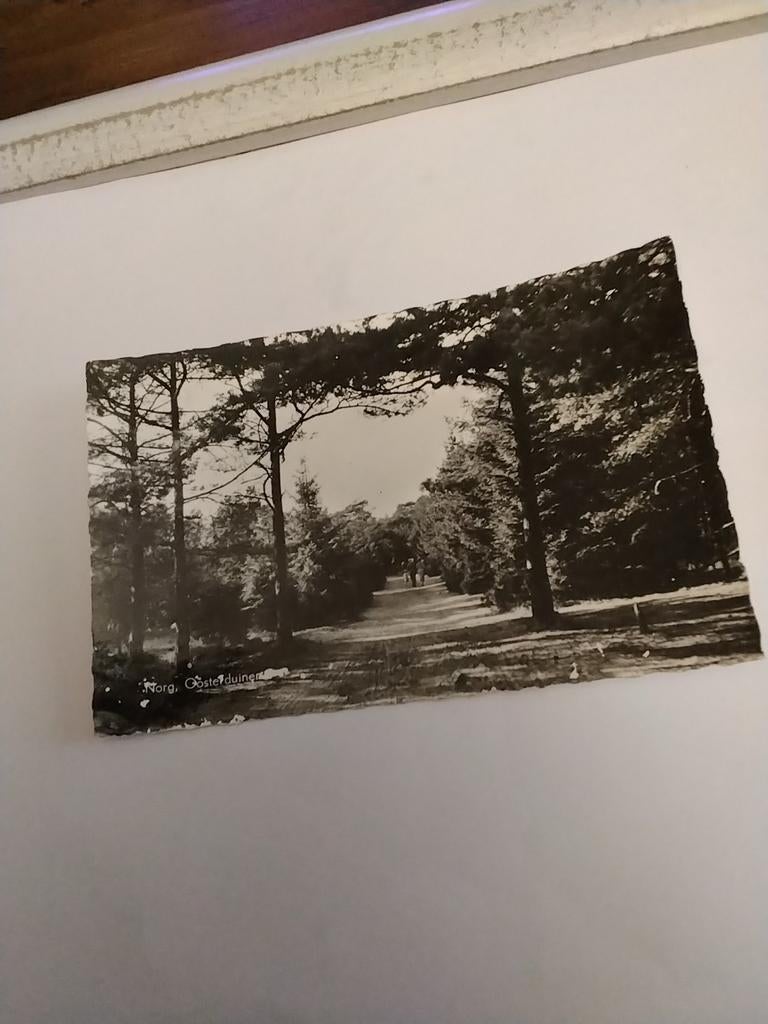 NORG. OOSTERDUINEN. 1961, Ophalen of Verzenden, 1960 tot 1980, Zuid-Holland