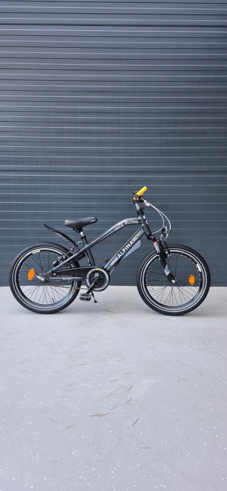 Alpina Trial 20 İnch Jongensfiets Nette Fiets, Ophalen, Gebruikt, Handrem, 20 inch