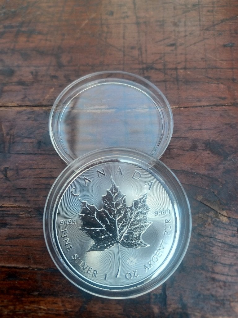1 Oz Maple Leaf Zilveren munt Canada 2019, Verzenden, Noord-Amerika, Losse munt, Zilver