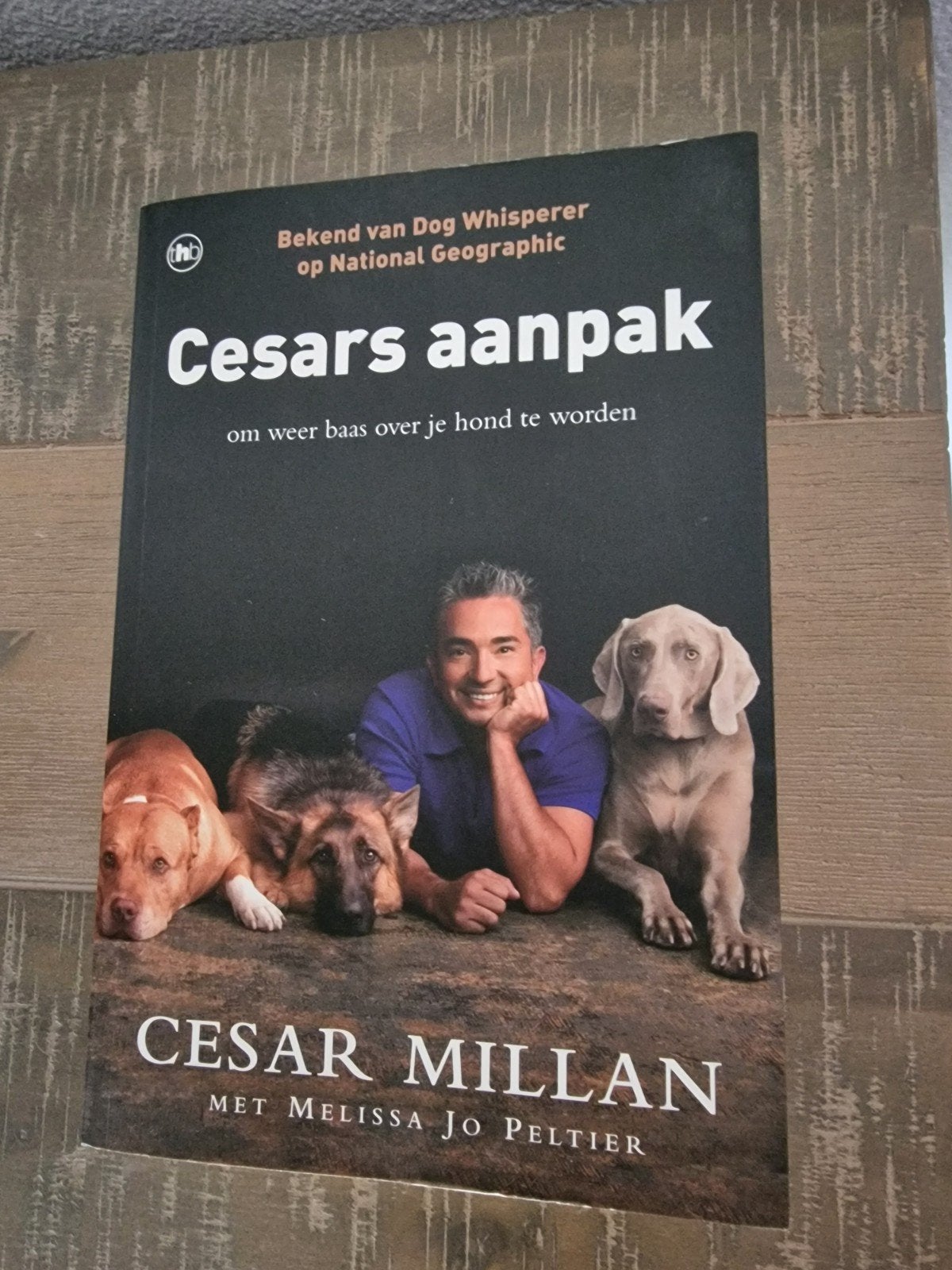 Cesars aanpak: om weer baas over je hond te worden, Ophalen of Verzenden, Gelezen, Honden, Cesar Millan