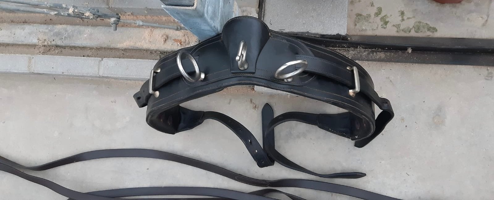 IDEAL Enkelspan tuig Full, Dieren en Toebehoren, Gebruikt, Recreatie, Verstelbaar, Mentuig