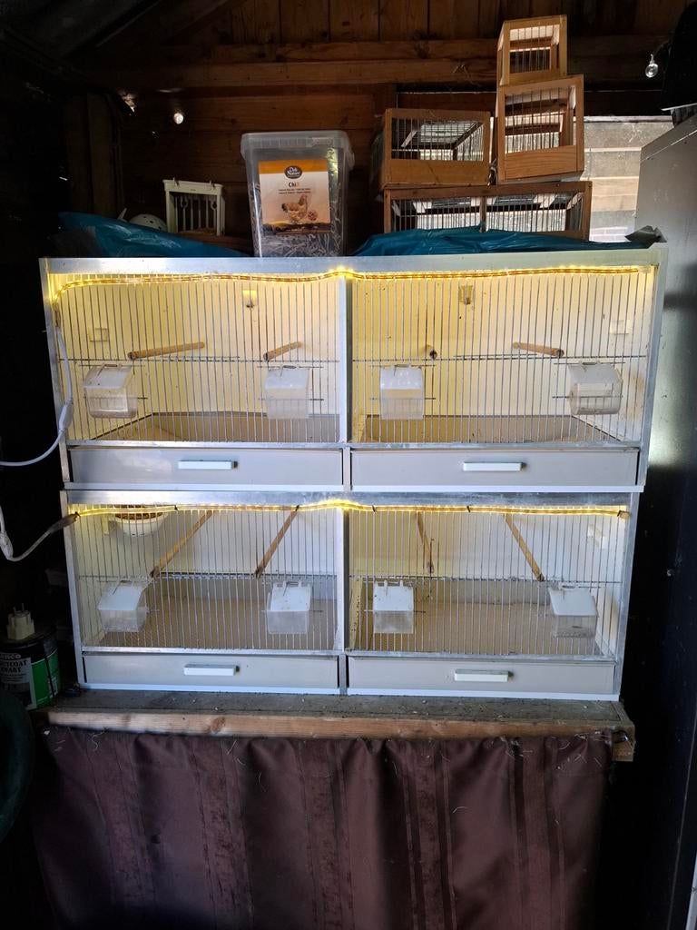 Gehu broedkooien 2 stuks., Dieren en Toebehoren, Ophalen, Kunststof, Broedkooi of Kweekkooi