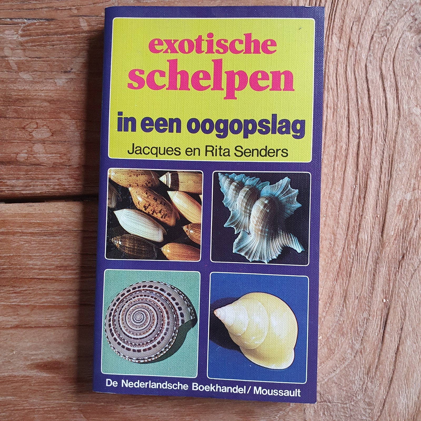 Exotische Schelpen in een Oogopslag  Jacques en Rita Senders, Ophalen of Verzenden, Zo goed als nieuw, Natuur algemeen, Jacques en Rita Senders