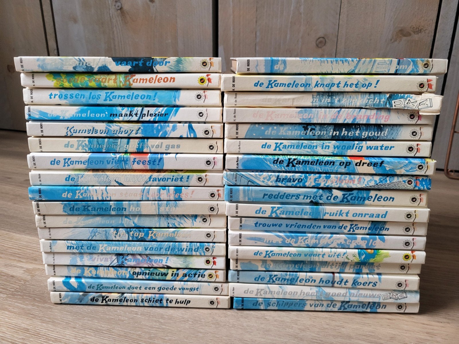 Kameleonreeks: 34 boeken van Hielke en Sietse Klinkhamer, Boeken, Ophalen of Verzenden, Gelezen, Hotze de Roos