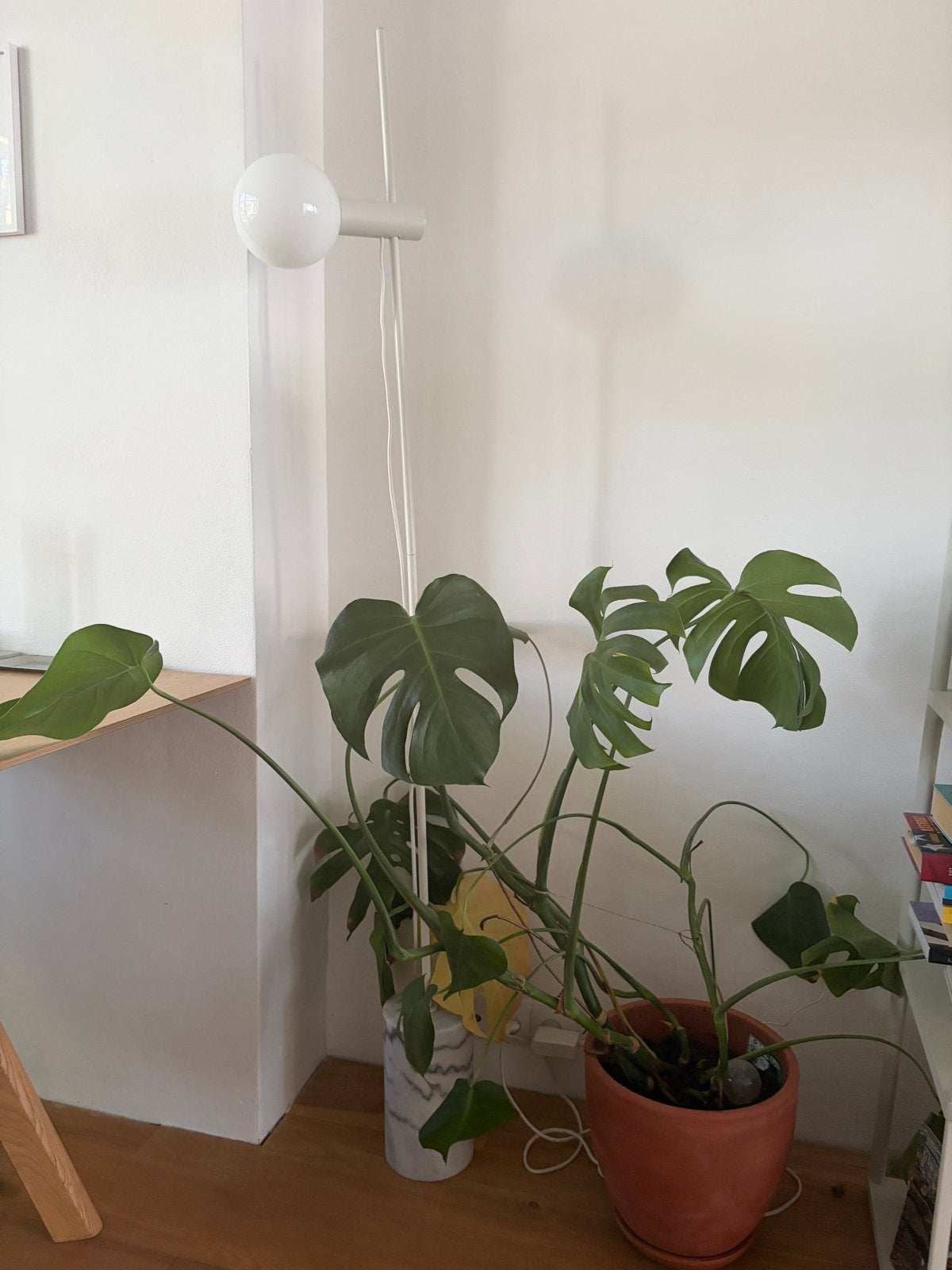 Bolia vloerlamp met marmeren voet, Ophalen, E27 (groot), 150 tot 200 cm, Glas