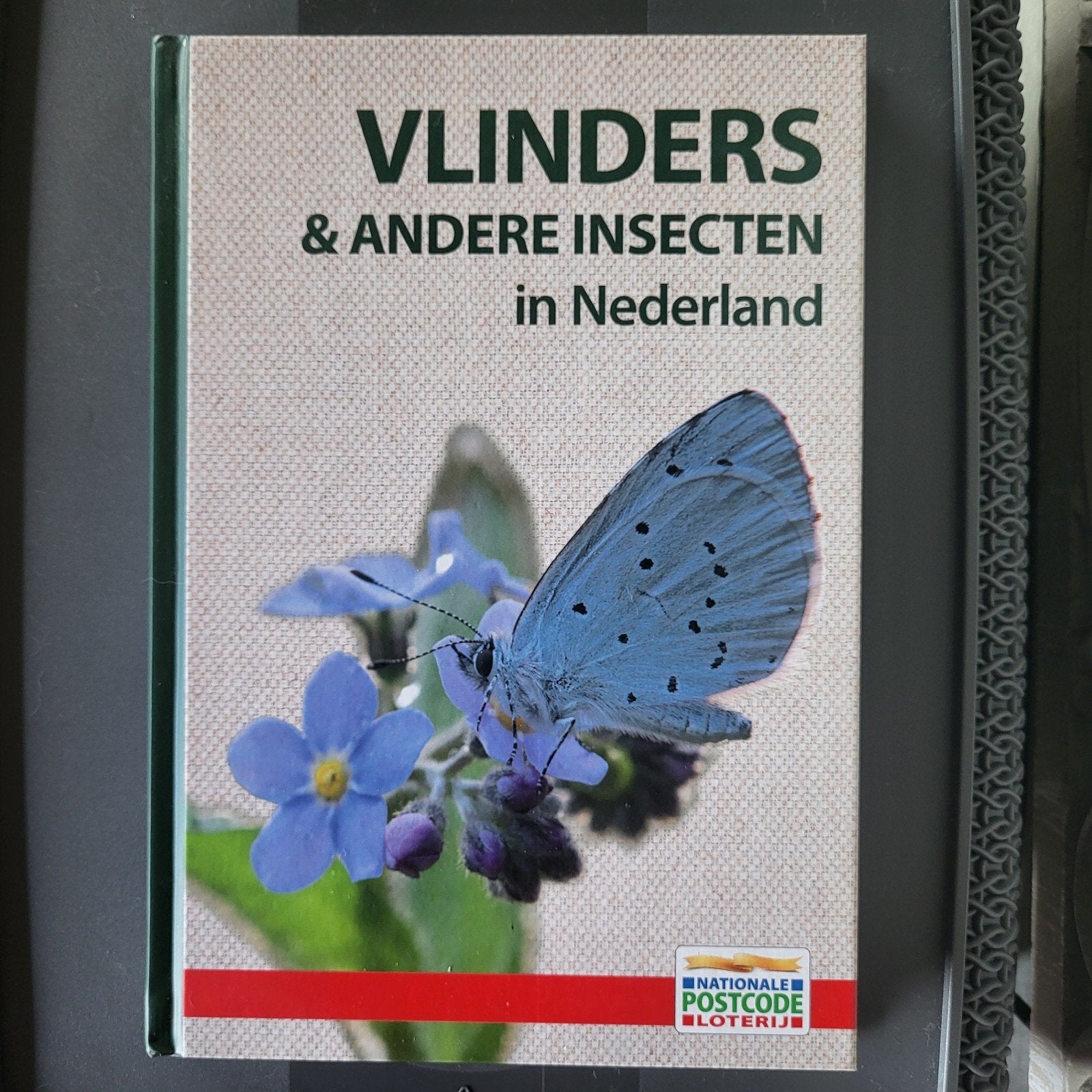 Vlinders & Andere Insecten in Nederland - Postcode Loterij, Boeken, Natuur, Ophalen of Verzenden, Nieuw, Overige onderwerpen, Paul Sterry, Andrew Mackay, George C. McGavin