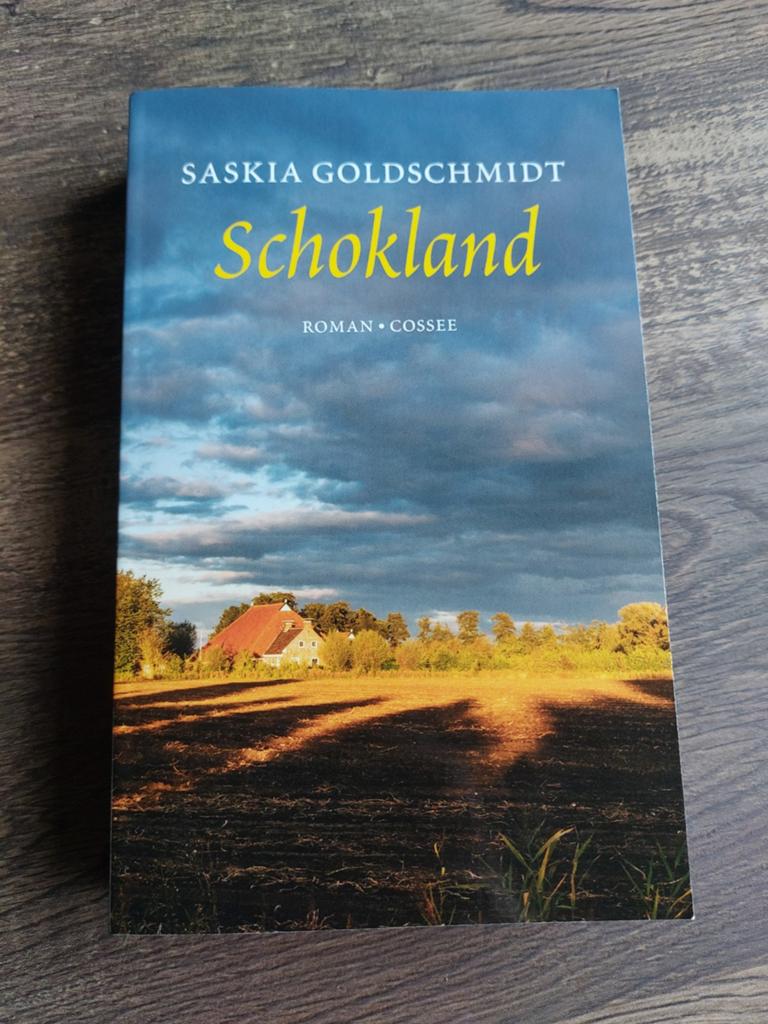 Schokland Saskia Goldschmidt, Ophalen of Verzenden, Zo goed als nieuw