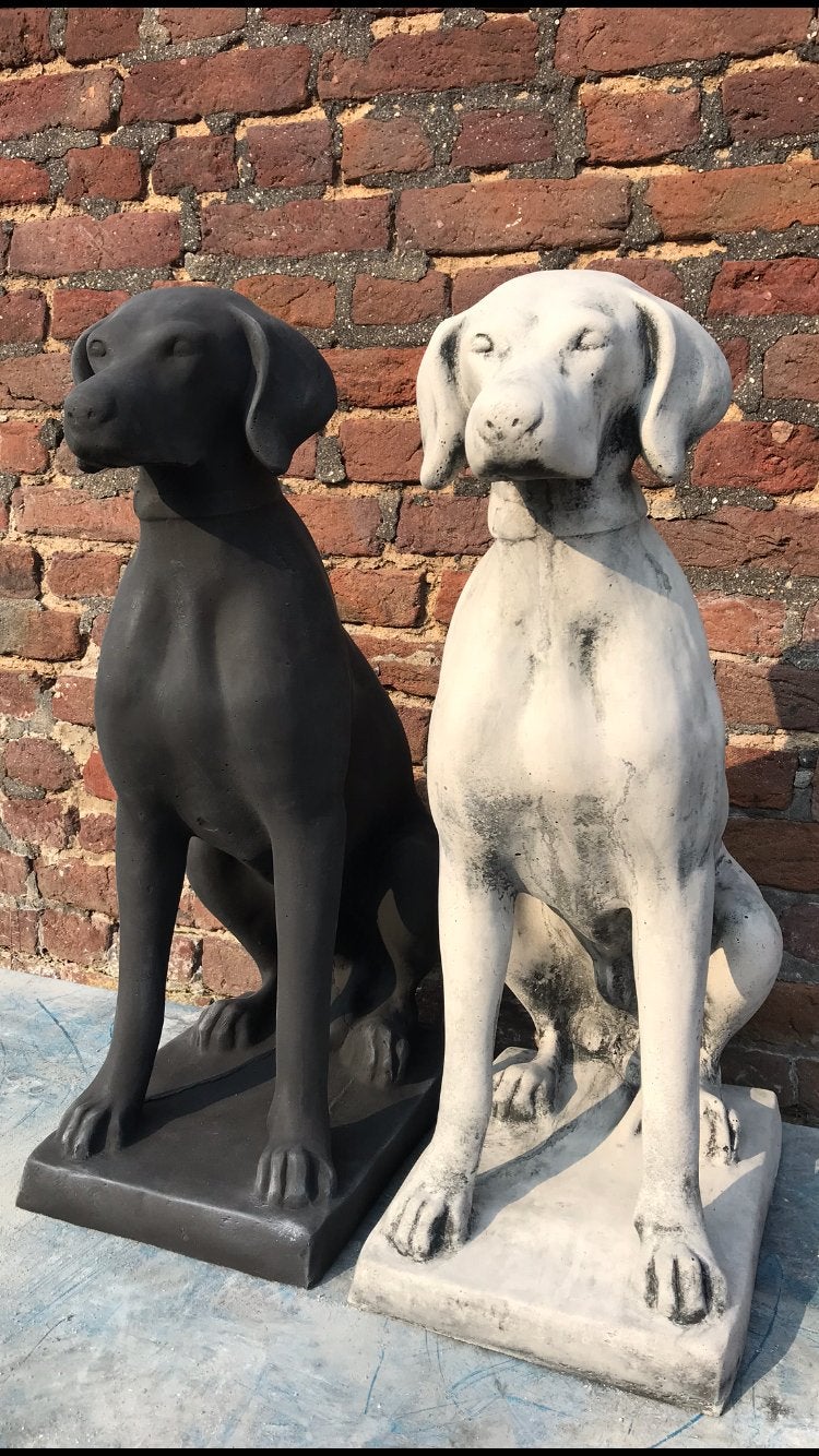 ‼️Pointer Weimaraner Vizsla Kurzhaar Ridgeback Jachthond‼️, Ophalen of Verzenden, Nieuw, Beton, Dierenbeeld