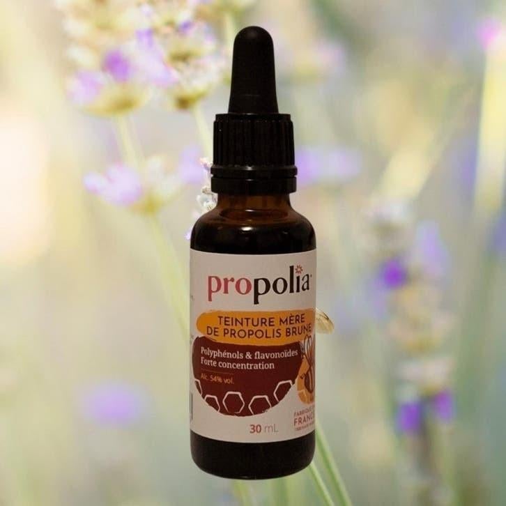Honing en propolis (ook grootverpakking) snelle levering!, Ophalen