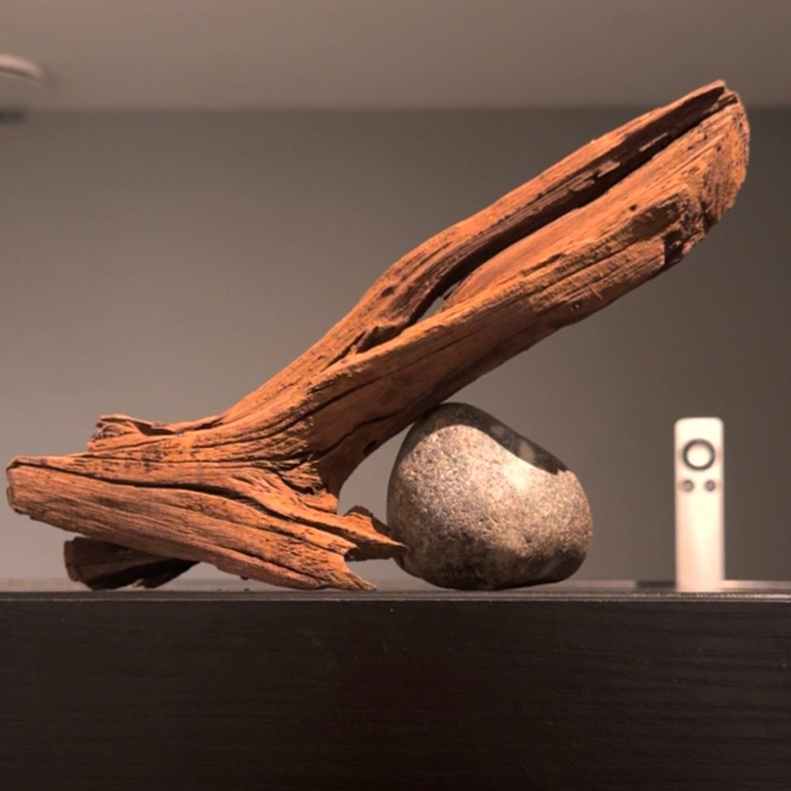 Uniek stuk Kienhout / Spiderwood / Driftwood, Hout Decoratie, Ophalen of Verzenden, Plant(en), Steen of Hout
