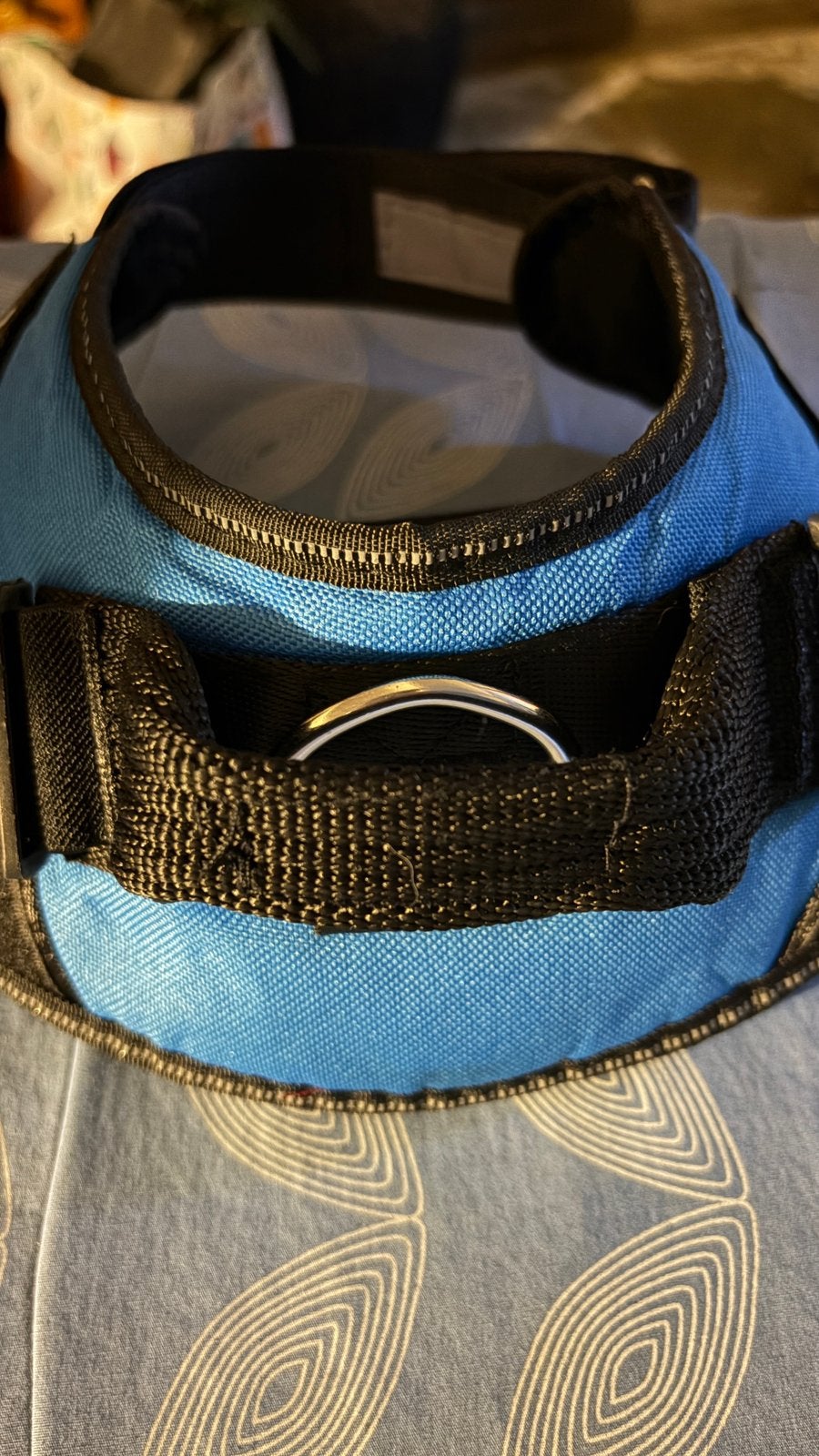 Hondenhalsband Julius K9 maat M, Ophalen, Gebruikt