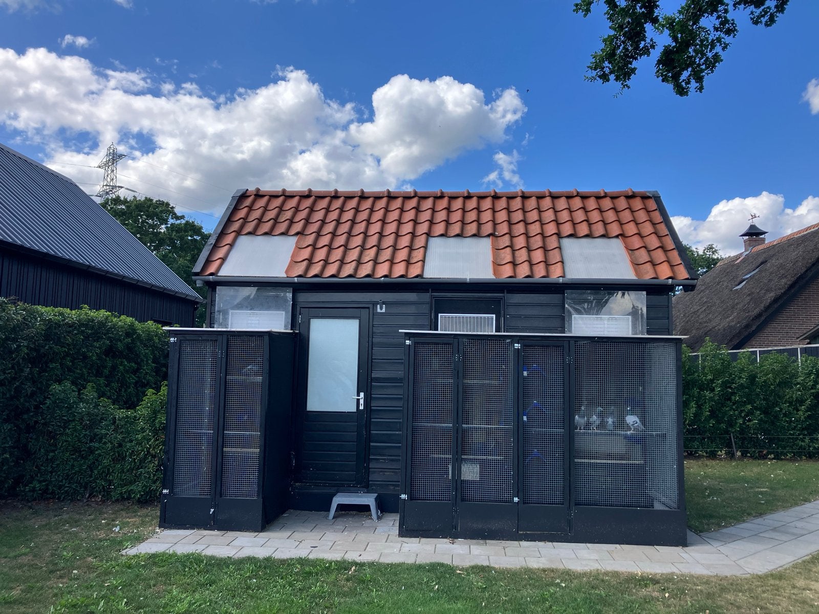 Duivenhok, Dieren en Toebehoren, Verzenden, Hout, Vogelkooi