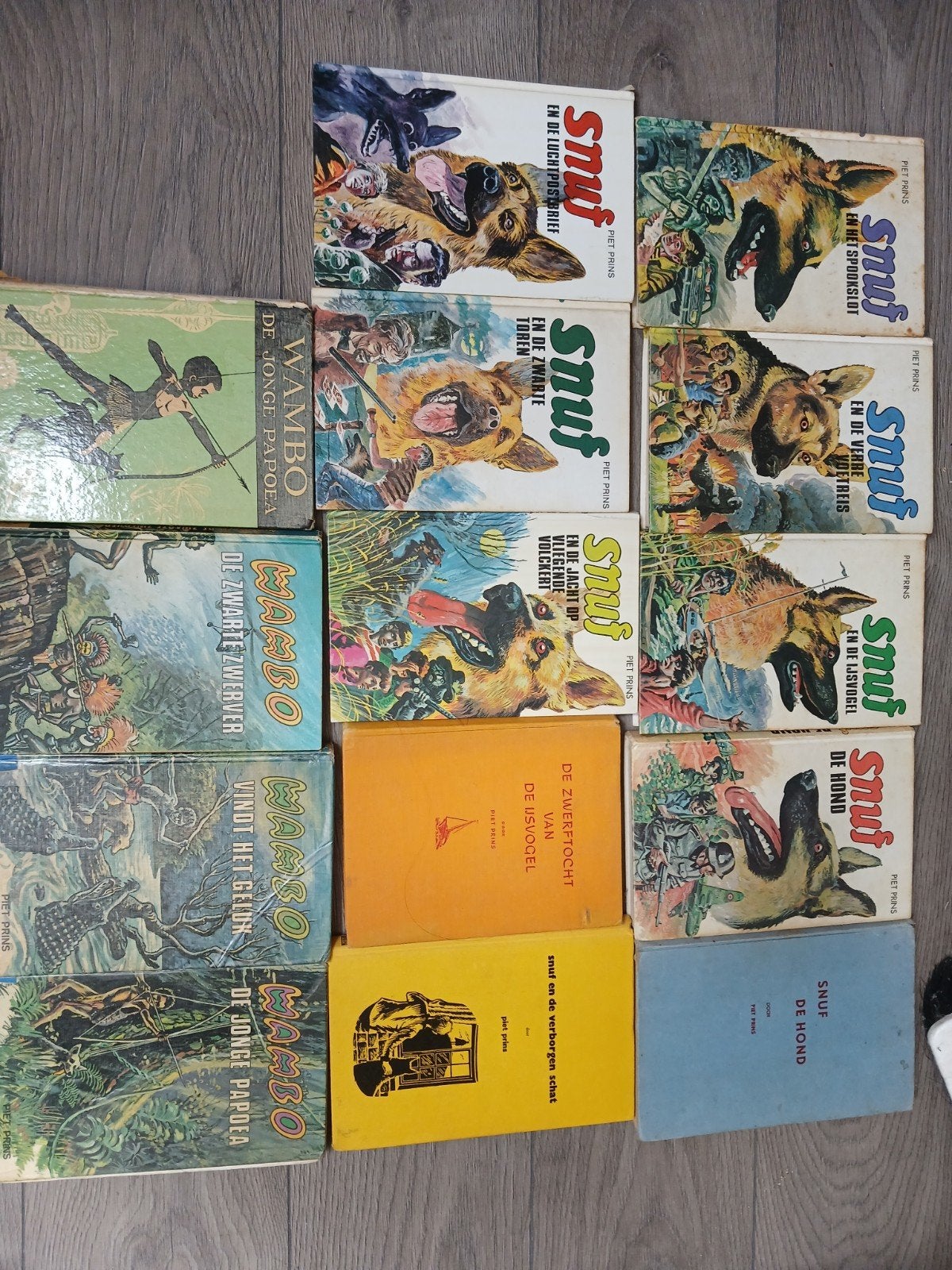 28 boeken van Piet Prins, oude en nieuwere, Boeken, Ophalen of Verzenden, Gelezen, Piet Prins
