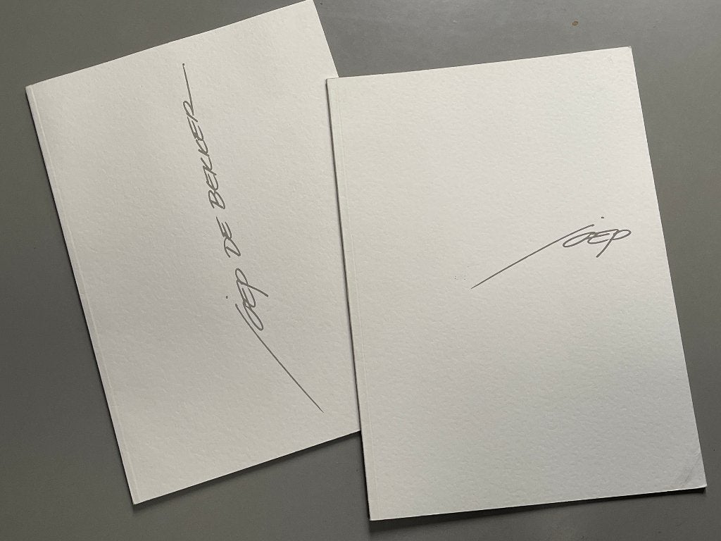 Catalogi (2) van de schilder Joep de Dekker 2000-2002, Ophalen of Verzenden, Zo goed als nieuw, Schilder- en Tekenkunst