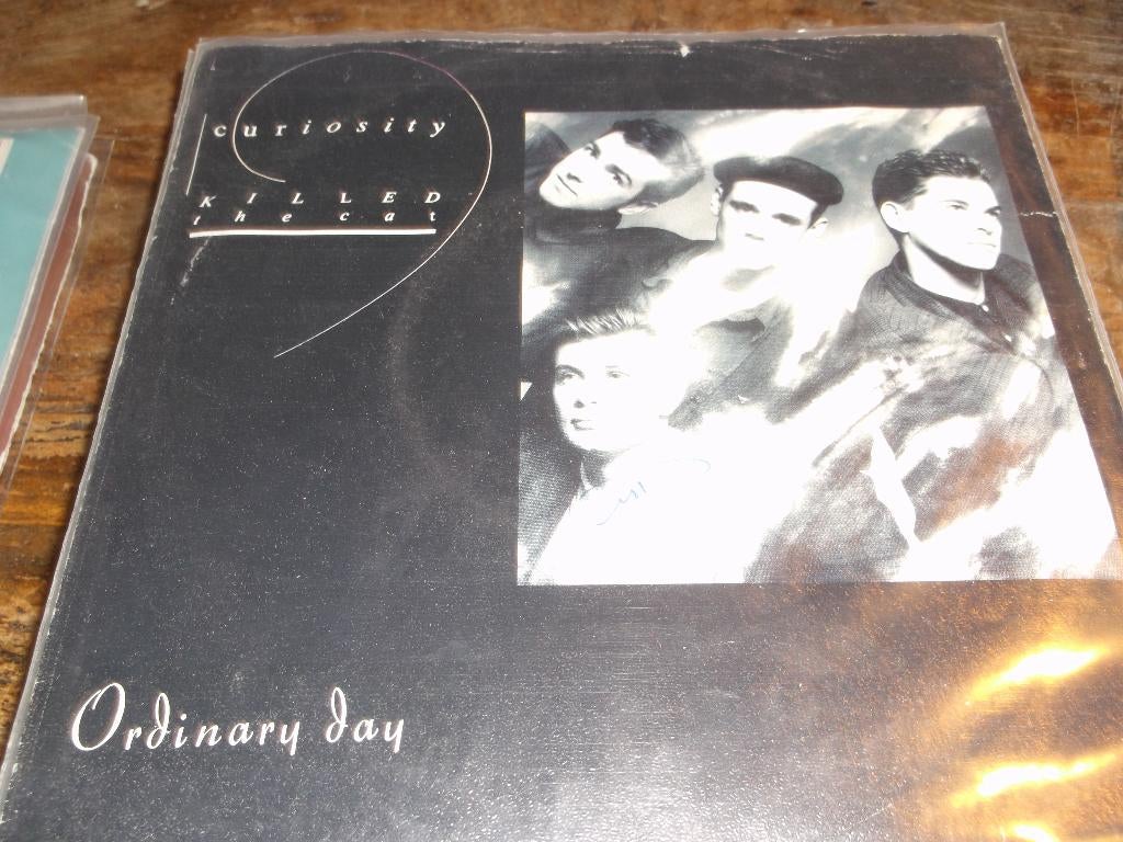 curiosity killed the cat Ordinary day 282, Gebruikt, 7 inch, Single, Ophalen of Verzenden